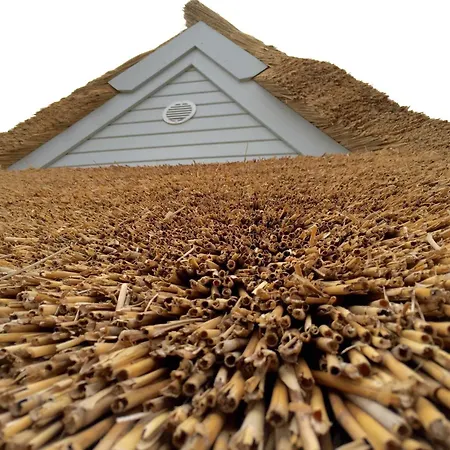 H10 Ostsee Emmy Huus No 10 Rerik Hébergement de vacances *