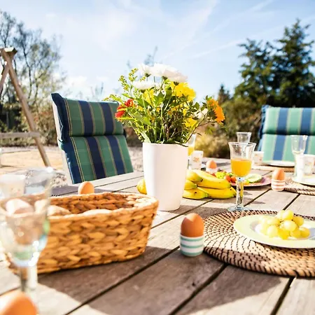 Hébergement de vacances H10 Ostsee Emmy Huus No 10 Rerik Neu Gaarz